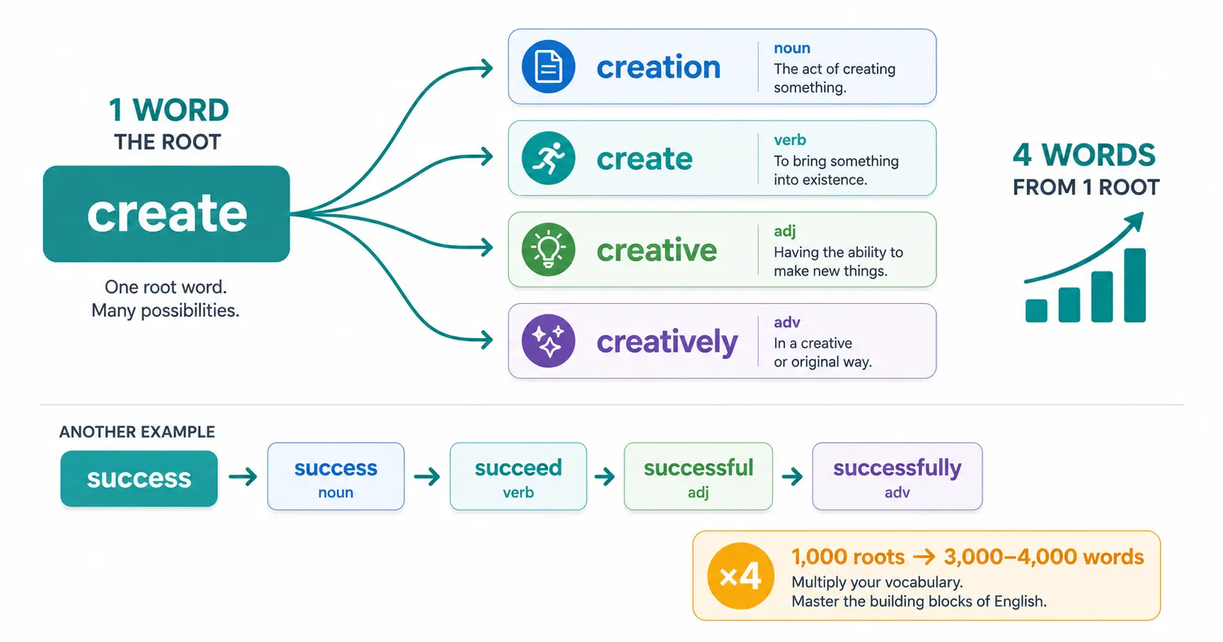 How word families multiply vocabulary: one root word produces noun, verb, adjective, and adverb forms